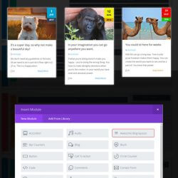 Divi Blog Grid Module - Layout #1