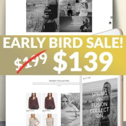 Luxury Ecommerce divi theme