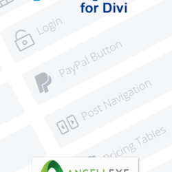 PayPal for Divi
