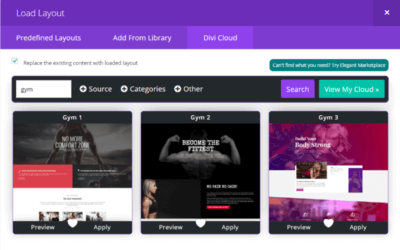 12 Divi Child Themes and Layouts for Personal Trainers and Gyms