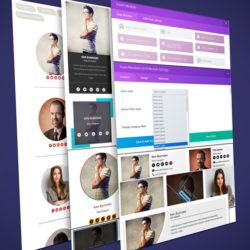 Divi Team Members