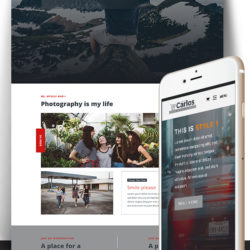 Carlos - The "works for every topic" Theme