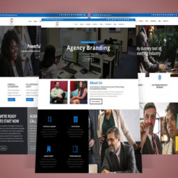 Ali – Multipurpose Divi Business / Corporate Child Theme