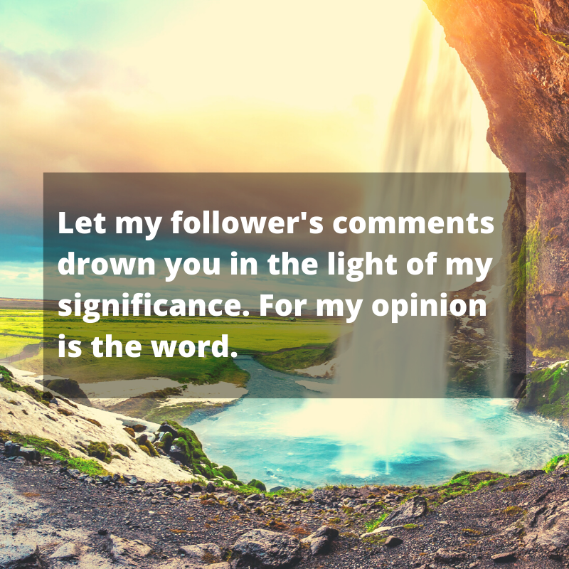 Picture of a waterfall, with the quote "Let my follower's comments drown you in the light of my significance. For my opinion is the word." over layed on top.
