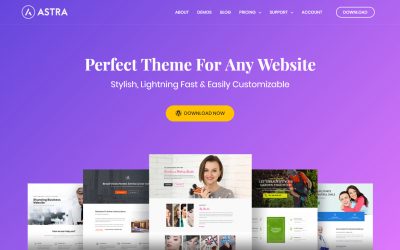 Why are we listing the free version of Astra Theme?