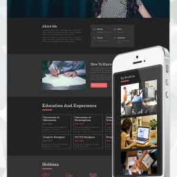 Resume Divi Layout