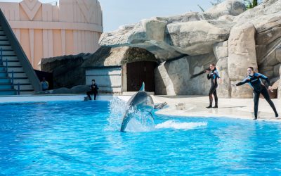 So long and thanks for all the fish.