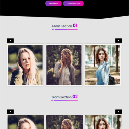Divi Team Carousel Layout 1