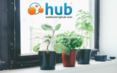 Web Hosting Hub WordPress Hosting Review