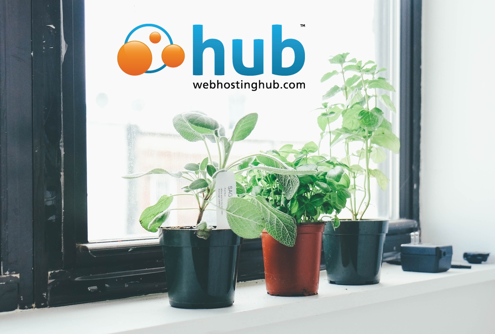 Web Hosting Hub WordPress Hosting Review