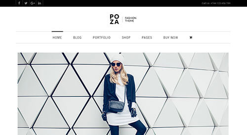 Poza Home Page Example