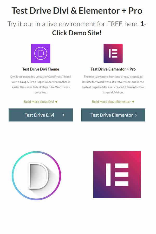 divi demo layouts